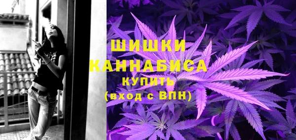 2c-b Белокуриха