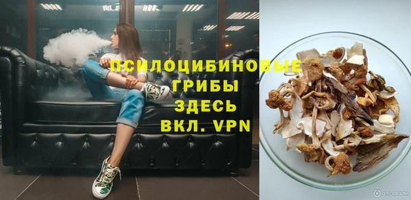 2c-b Белокуриха