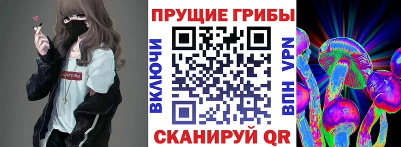 Галлюциногенные грибы мицелий  дарнет шоп  Усолье 